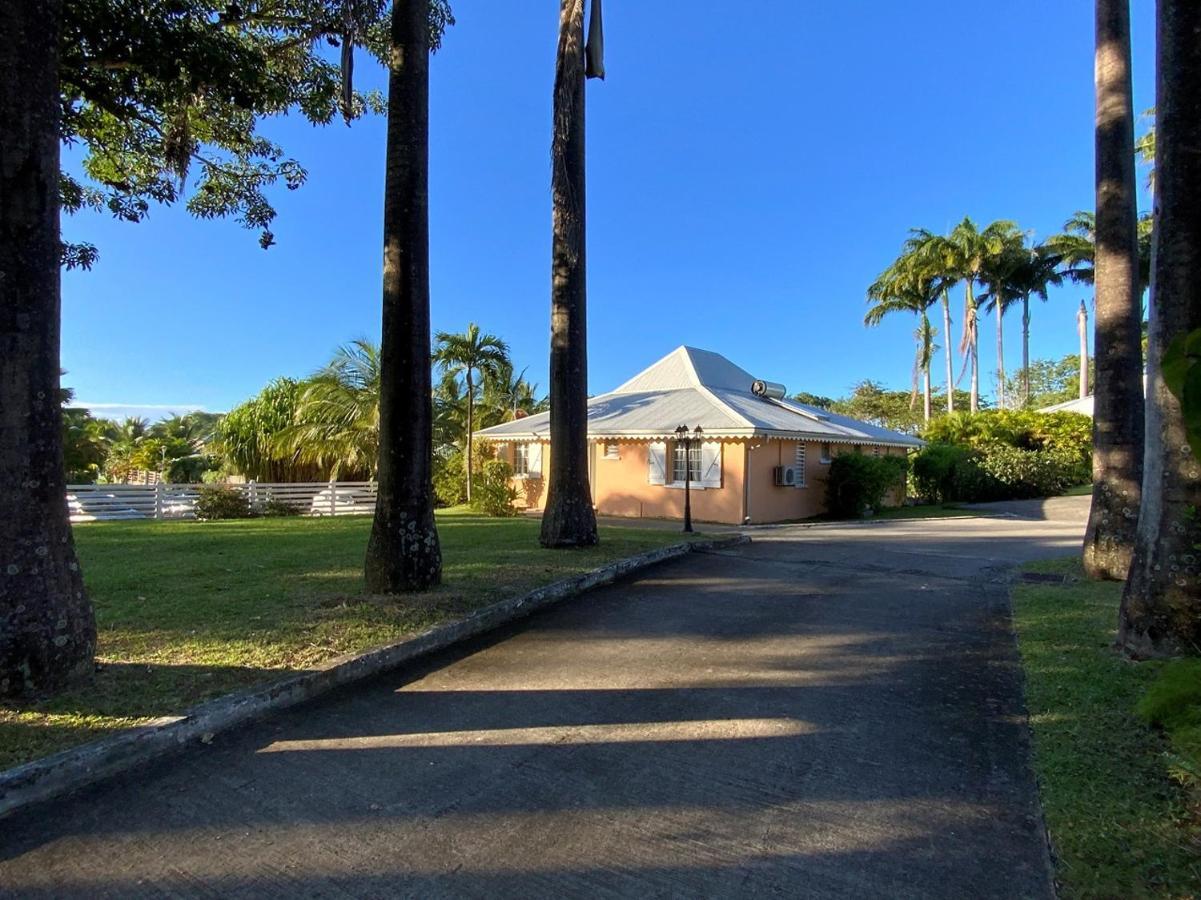 Villa Cezanne ซานต์-โรส ภายนอก รูปภาพ